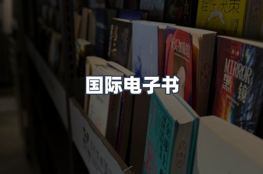 国际电子书